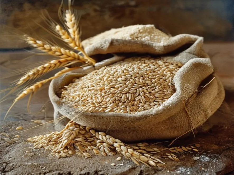 wheat flour